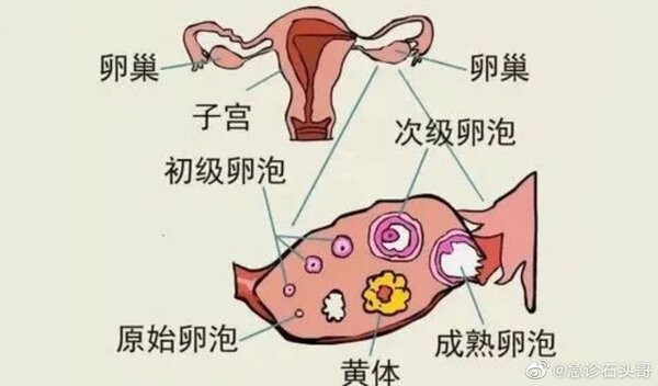 新聞圖片