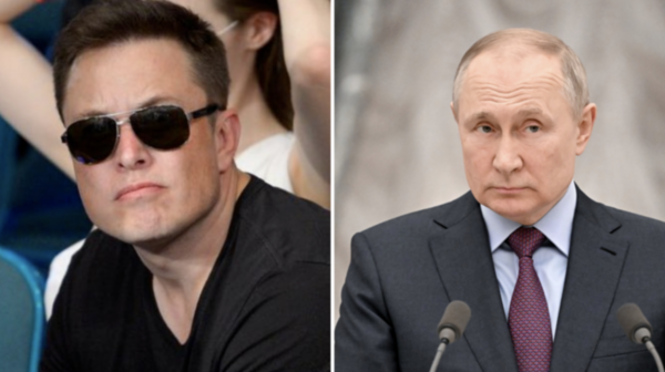 馬斯克「超會嘴」！發火烤熊梗圖約普丁單挑：你可以帶上你的熊應戰