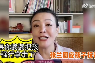 汪小菲與大S爭孩子撫養權？張蘭直播中公開立場網讚翻