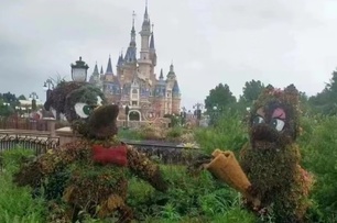疫情封城下的上海迪士尼　「荒廢2個月」面目全非：唐老鴨黑化變成草鴨