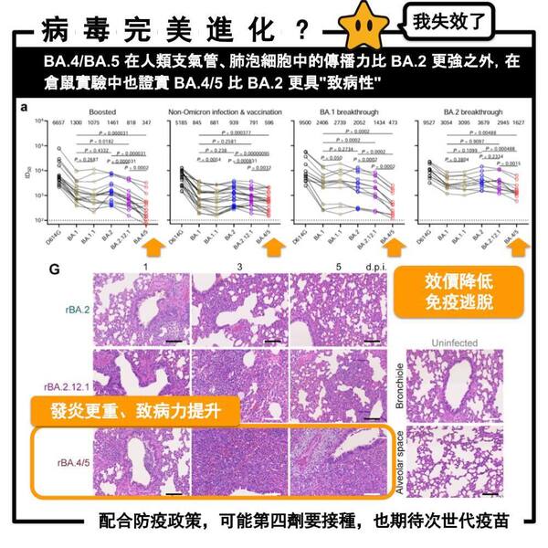 新聞圖片