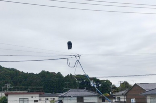 日本上空錄下出現不明黑色飛行物！目擊者嚇壞：比2層樓還高