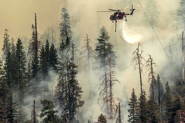 一片白茫茫！加州知名《優勝美地》野火狂燒648公頃　千年紅杉岌岌可危
