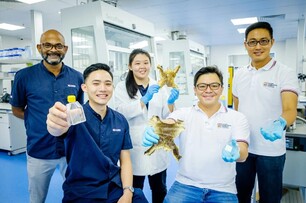  世界首創！新加坡團隊用 「青蛙皮」研發出促慢性傷口加速癒合的貼片