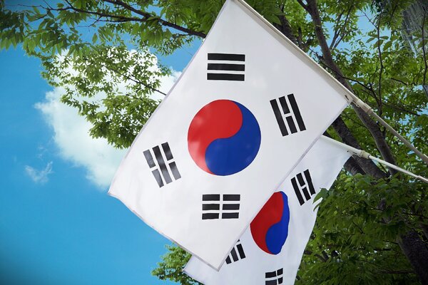 Siri竟稱「韓國是日本領土」！韓網全炸鍋　陸網嗨翻：打起來