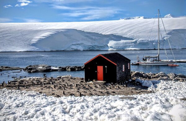 超酷工作！6000人搶應徵去南極無人島「經營企鵝郵局」僅4人錄取