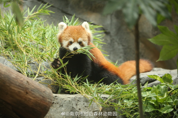新聞圖片