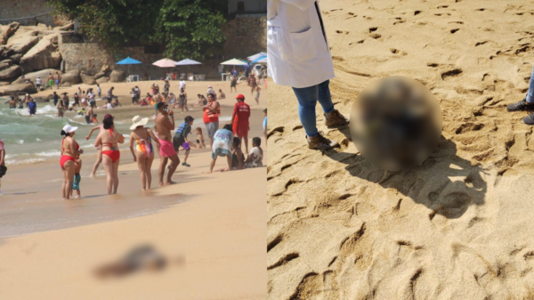 3屍體突沖上海灘！「捆手腳、中彈」死狀悽慘　一旁遊客竟淡定戲水