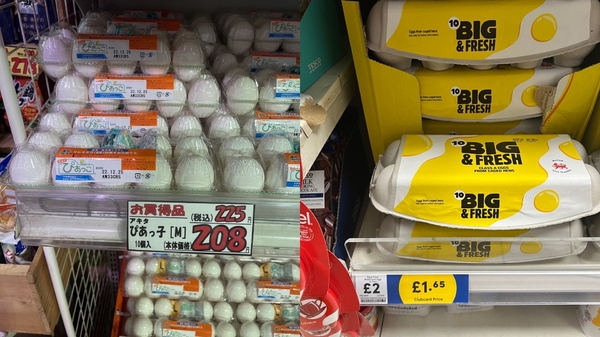 日本雞蛋比台灣便宜！網一看「價差」酸：不然鬼島叫假的？