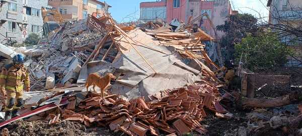 斯洛維尼亞搜救犬在廢墟尋人