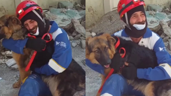 地震6日後救援人員在瓦礫堆中救出狗狗