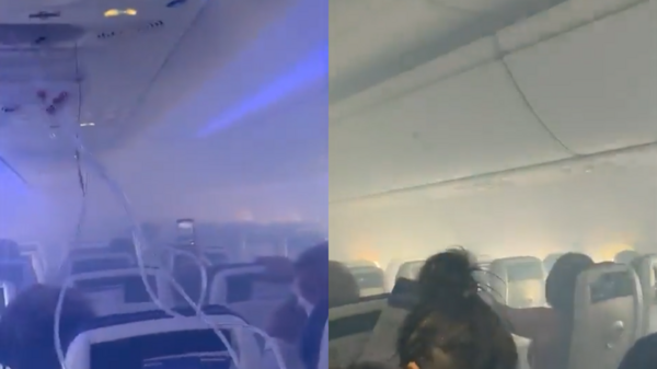 以為要死了！波音737慘遭「鳥擊」機艙狂冒黑煙　乘客尖叫影片曝光