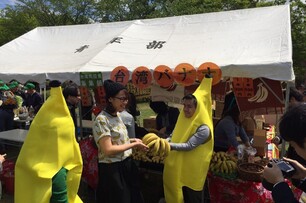 集集山蕉赴日參展成焦點　鎮長扮香蕉人推廣農產