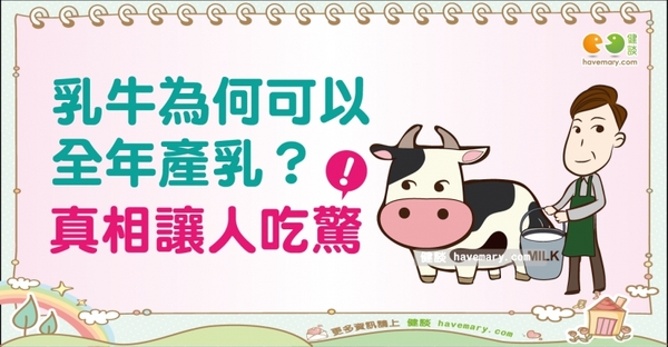乳牛為何可全年產奶？｜天然食材 牛奶篇8