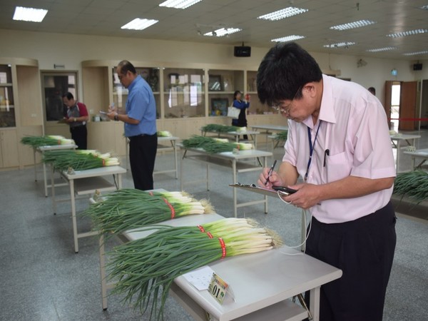 中市大安農會舉辦優質青蔥評鑑　優勝農民抱走2萬現金