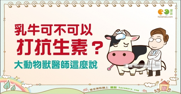乳牛可不可以打抗生素？｜天然食材 牛奶篇9