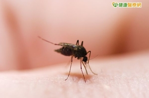 蚊子叮咬紅腫熱痛　中藥內用外洗可改善
