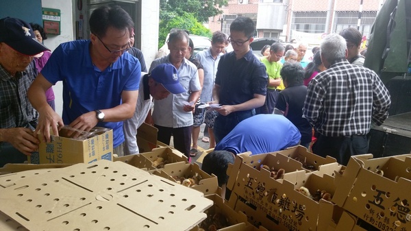 大溪農會發送幼雞　每位農民可獲十隻補助