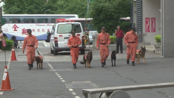 北市消防局搜救犬擴編　議會支持肯定