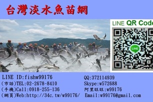台灣淡水魚資訊路口網