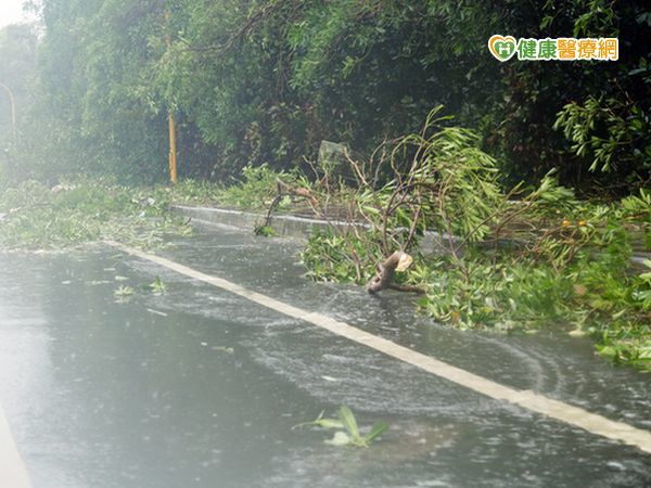 尼伯特颱風重創台東　備6千瓶漂白水防登革熱