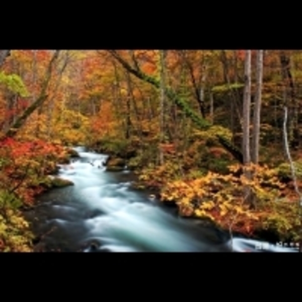 跟團最怕強迫購物壞了興致　旅遊達人：可嘗試無購物團