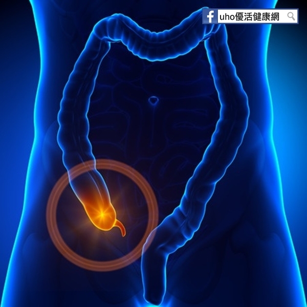 食慾差、發燒　闌尾炎恐致死