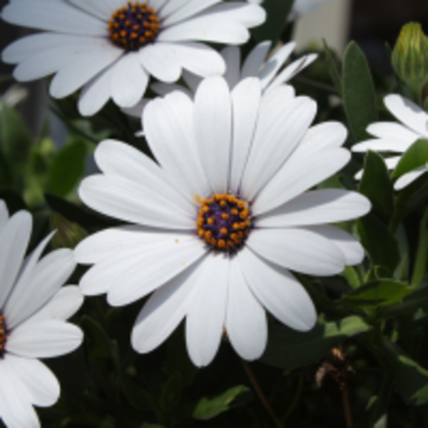 【R.I.P.】28歲男星喬任梁不堪「霸凌憂鬱」自殺身亡…遺憾這些明星也是……令人難過不捨…