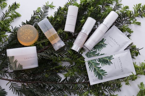 台灣國寶紅豆杉萃取原素 應用成為全方位肌膚保養新成分