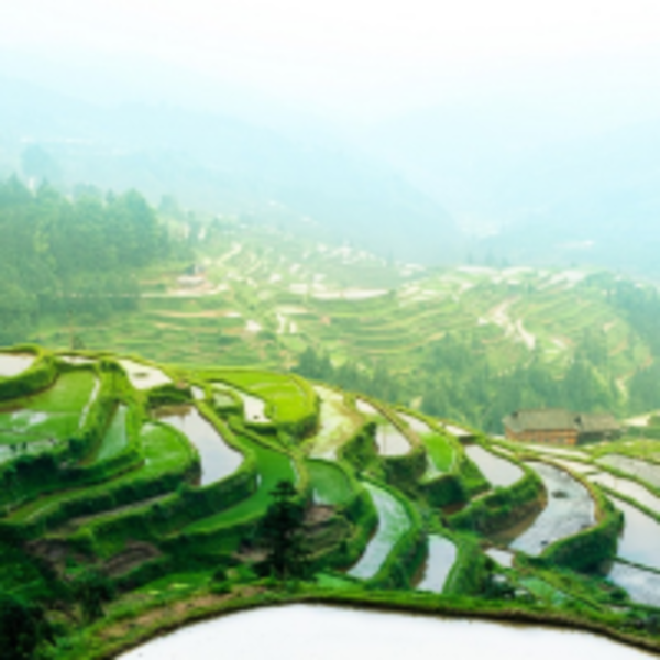 隨遇而安生：堂安侗寨