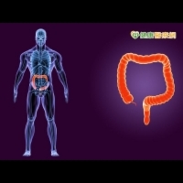 豬哥亮大腸癌拖成末期　「新國病」別輕忽！