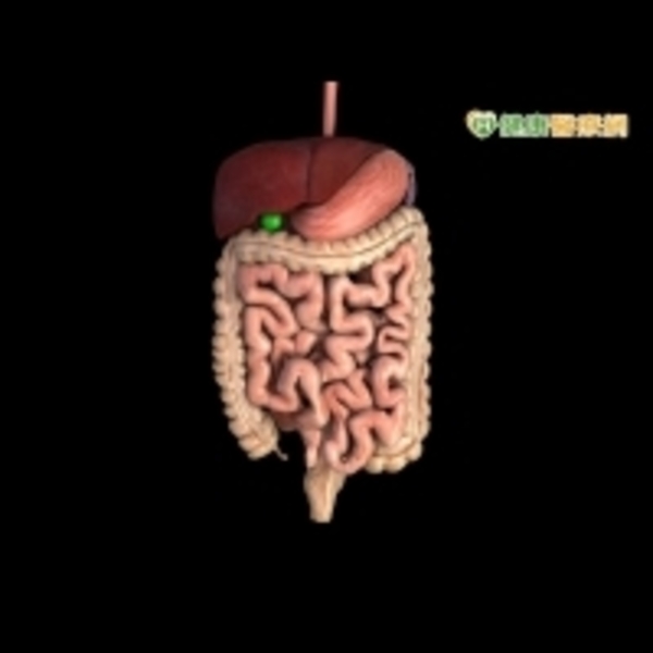 豬哥亮大腸癌已肝轉移　積極治療仍可控制