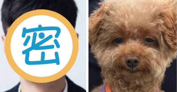 網友噴飯笑歪了 發現自己家狗狗超眼熟 跟某位男歌手臉型長得非常相似