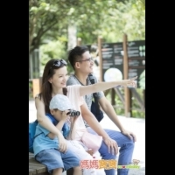 親子賞鳥好處多多！3大重點，與孩子一同體驗自然生態奧妙...