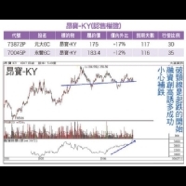 縮表、匯率、外資、技術面、權證