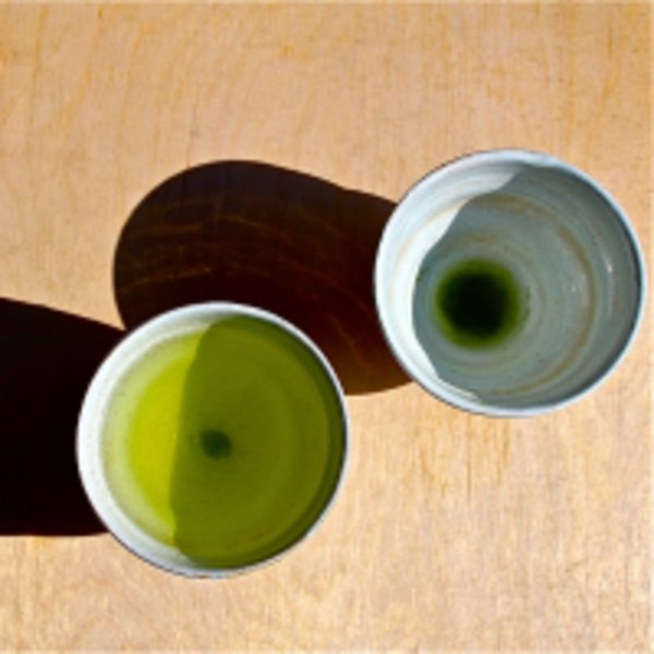 每天都喝飲料   但知道青茶和綠茶哪裡不同嗎？