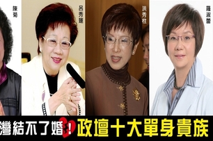 為了台灣不結婚!政壇十大單身貴族| DailyView 網路溫度計
