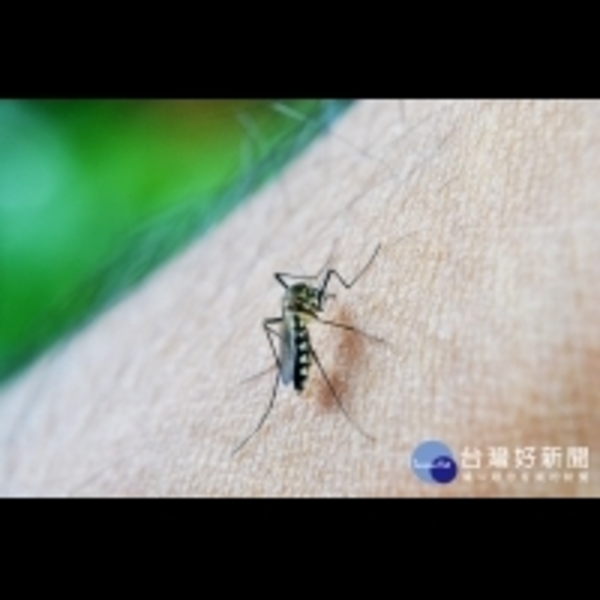 出國旅遊防蚊不可輕忽　30多歲女性染登革熱返台亡