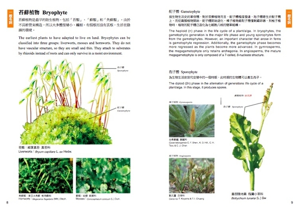 植物學百科圖典中英對照版
