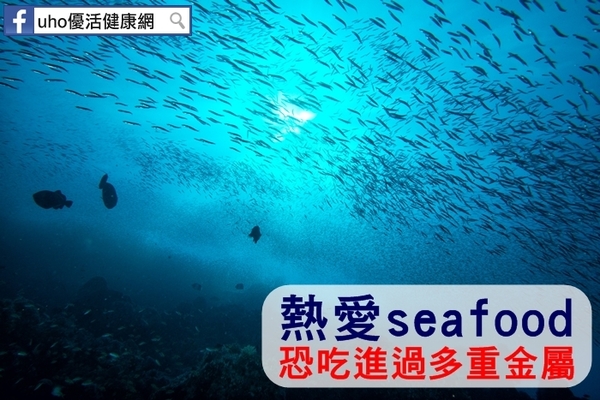 熱愛seafood　恐吃進過多重金屬