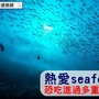 熱愛seafood　恐吃進過多重金屬