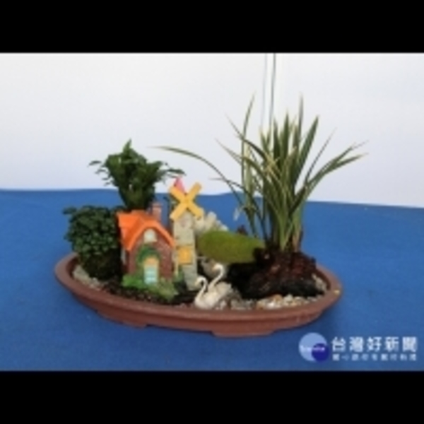 顛覆傳統　科博館國蘭特展蘭花盆組創意豐富多變