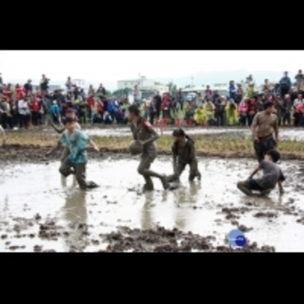 全國農田泥巴戰趣味賽　小朋友踩著泥巴感受稻田泥香味