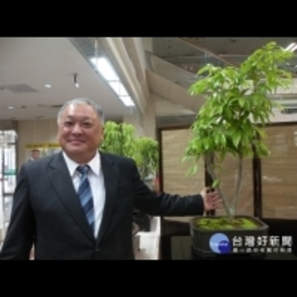 把荔枝樹變盆栽　溫度控制冬天也能開花