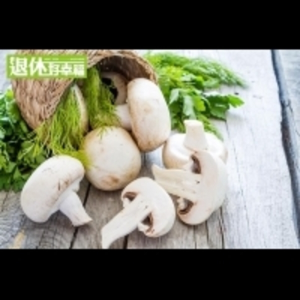 蘑菇、茄子不能一起煮？！吃菇類最需要注意的事，小心中毒風險...