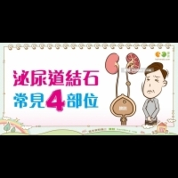 尿路結石的部位｜全民愛健康 泌尿道結石3