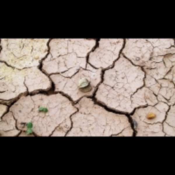 氣候變遷；開普敦旱災嚴重