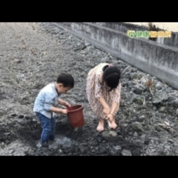 赤腳享受地氣！　男童慘遭鉤蟲入侵