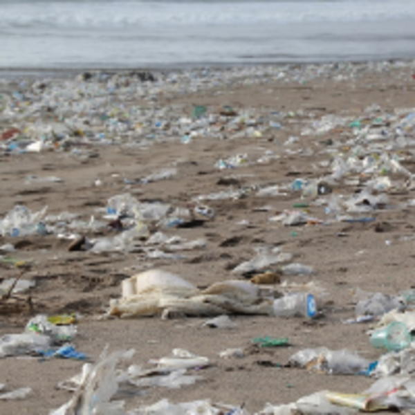 加拉巴哥群島沿岸漂浮大量垃圾！三個重點了解海漂垃圾何去何從