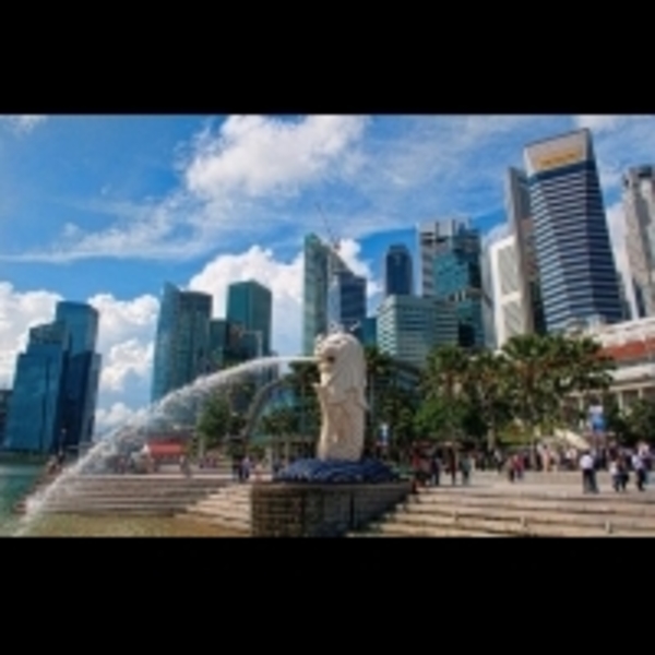 【驚輸星文化】從拚第一到排隊占位　窺見新加坡人「Kiasu」日常